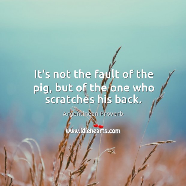 It’s not the fault of the pig, but of the one who scratches his back. Argentinean Proverbs Image