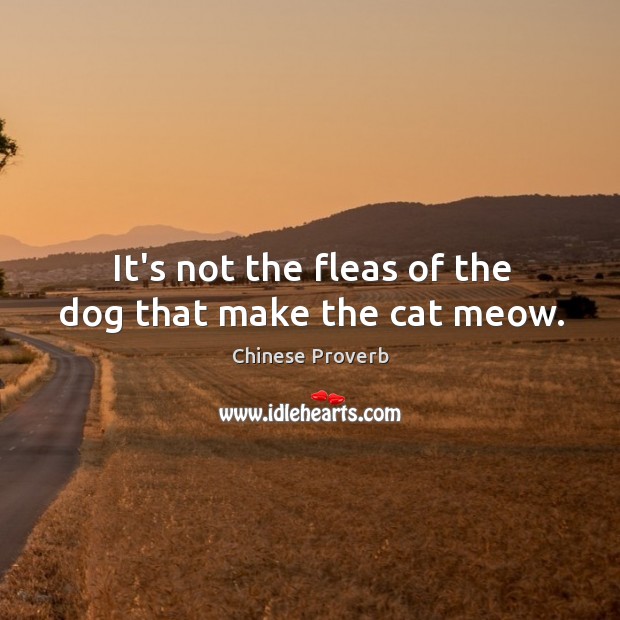 It’s not the fleas of the dog that make the cat meow. Image