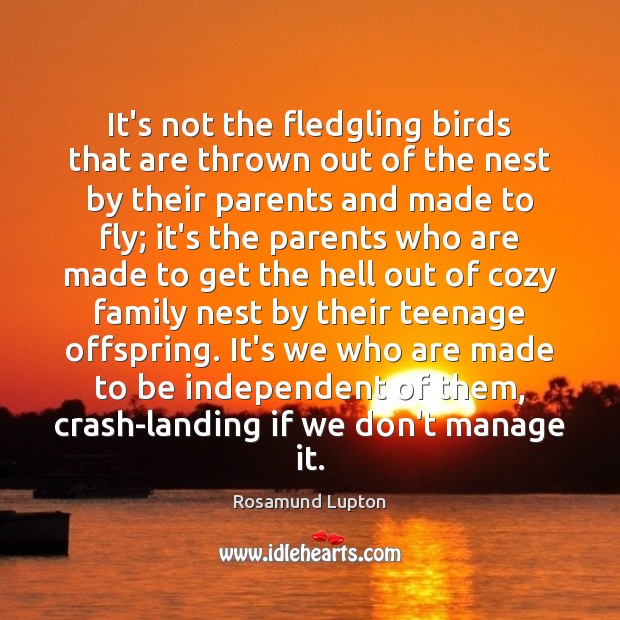 It’s not the fledgling birds that are thrown out of the nest Rosamund Lupton Picture Quote