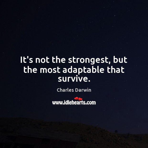 It’s not the strongest, but the most adaptable that survive. Image