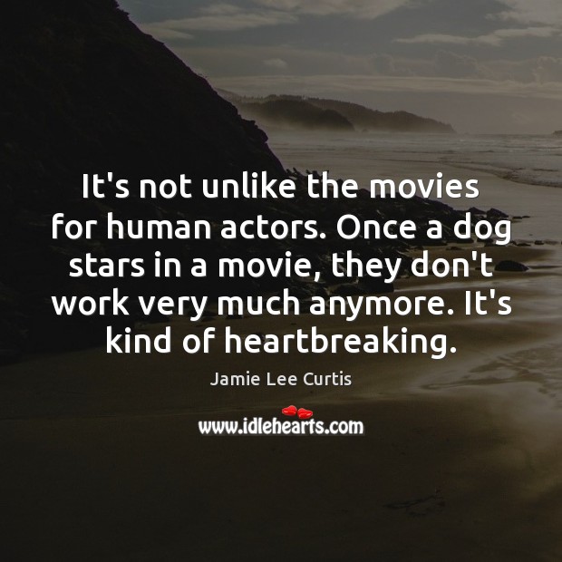 It’s not unlike the movies for human actors. Once a dog stars Jamie Lee Curtis Picture Quote