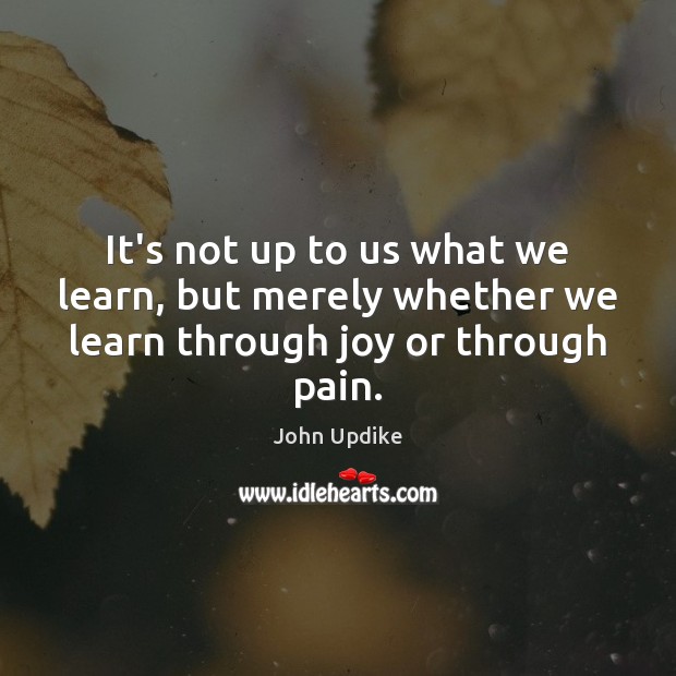 It’s not up to us what we learn, but merely whether we learn through joy or through pain. John Updike Picture Quote