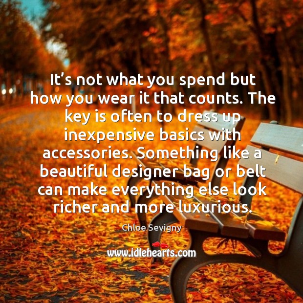 It’s not what you spend but how you wear it that counts. Chloe Sevigny Picture Quote