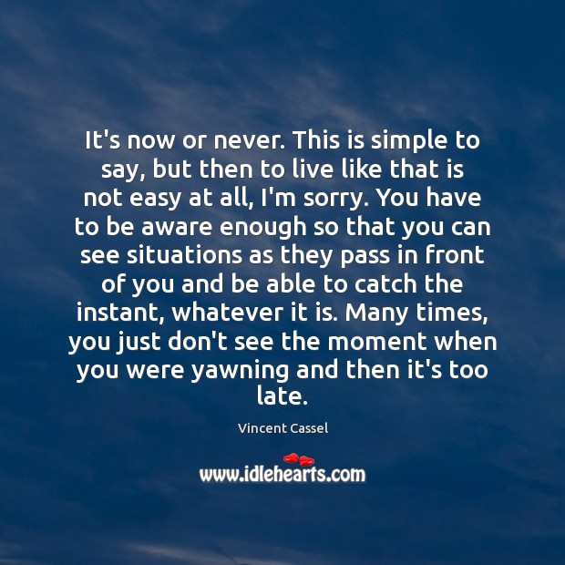 It’s now or never. This is simple to say, but then to Vincent Cassel Picture Quote