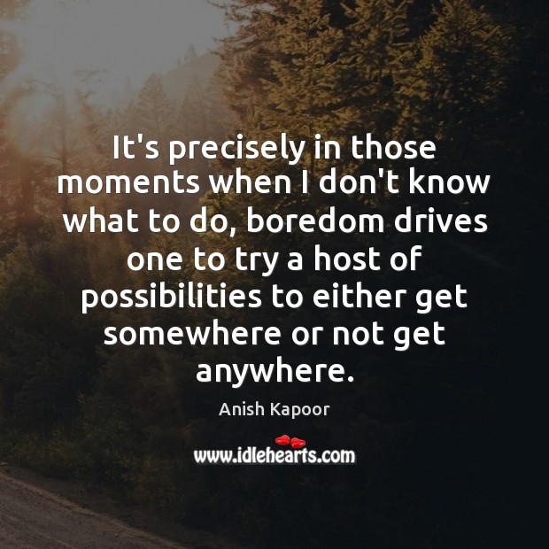 It’s precisely in those moments when I don’t know what to do, Anish Kapoor Picture Quote