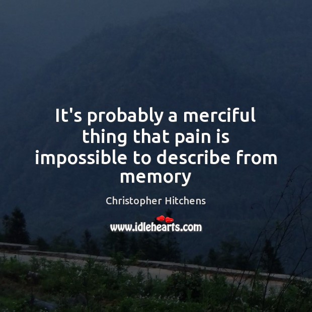 It’s probably a merciful thing that pain is impossible to describe from memory Christopher Hitchens Picture Quote