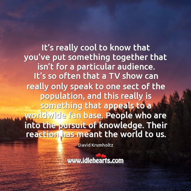 It’s really cool to know that you’ve put something together that isn’t for a particular audience. David Krumholtz Picture Quote