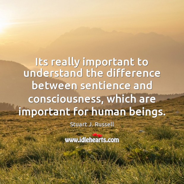 Its really important to understand the difference between sentience and consciousness, which Stuart J. Russell Picture Quote