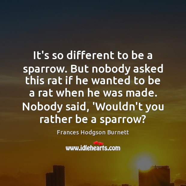 It’s so different to be a sparrow. But nobody asked this rat Image