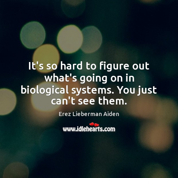 It’s so hard to figure out what’s going on in biological systems. You just can’t see them. Erez Lieberman Aiden Picture Quote