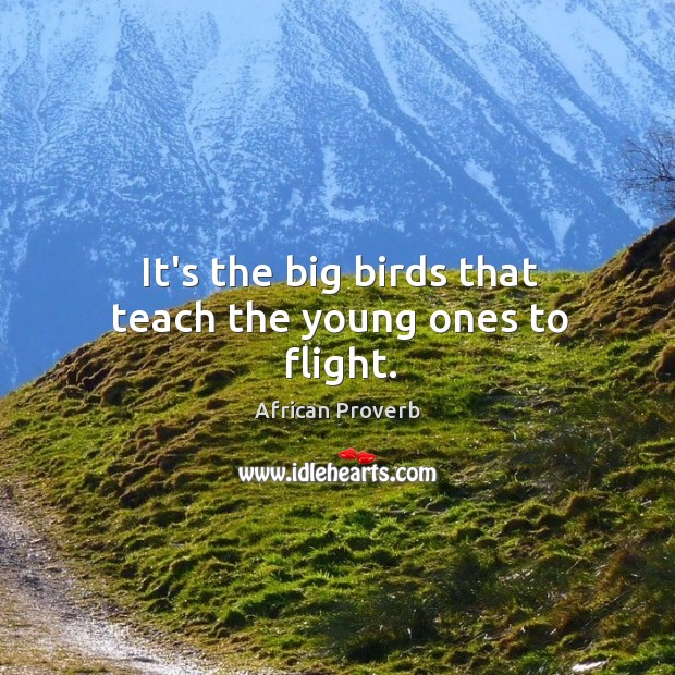 It’s the big birds that teach the young ones to flight. 