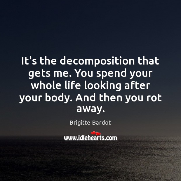 It’s the decomposition that gets me. You spend your whole life looking Image