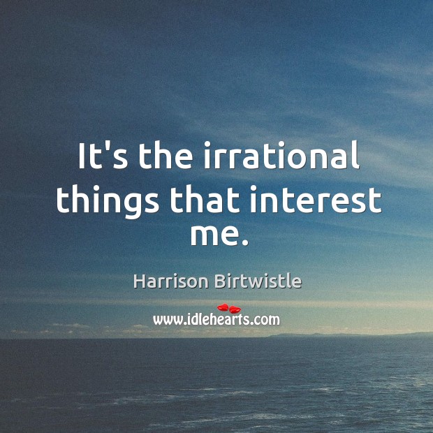 It’s the irrational things that interest me. Image