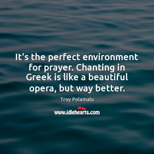 It’s the perfect environment for prayer. Chanting in Greek is like a Environment Quotes Image