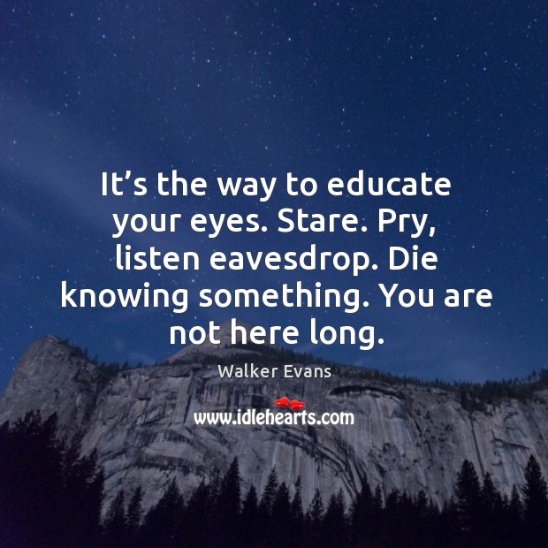 It’s the way to educate your eyes. Stare. Pry, listen eavesdrop. Die knowing something. Image