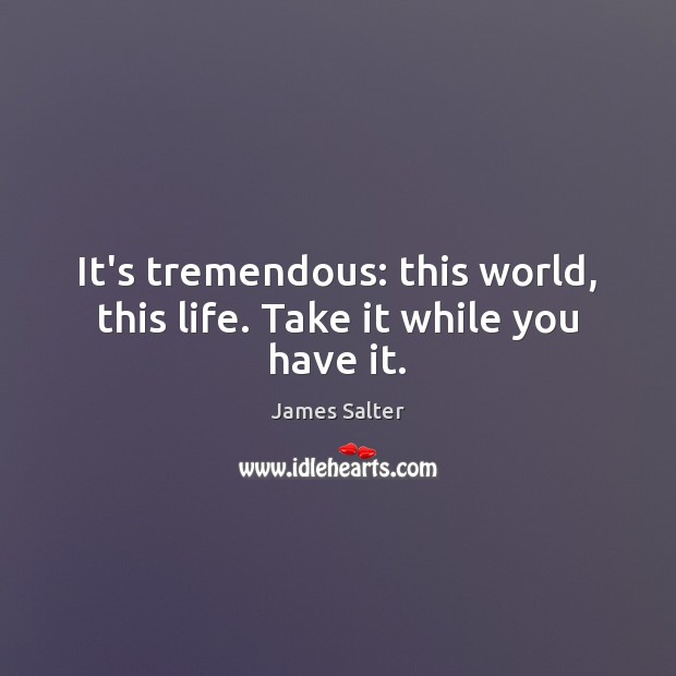It’s tremendous: this world, this life. Take it while you have it. James Salter Picture Quote