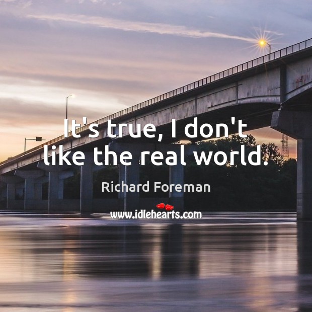 It’s true, I don’t like the real world. Image