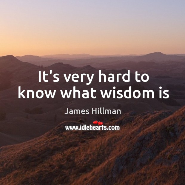 It’s very hard to know what wisdom is James Hillman Picture Quote