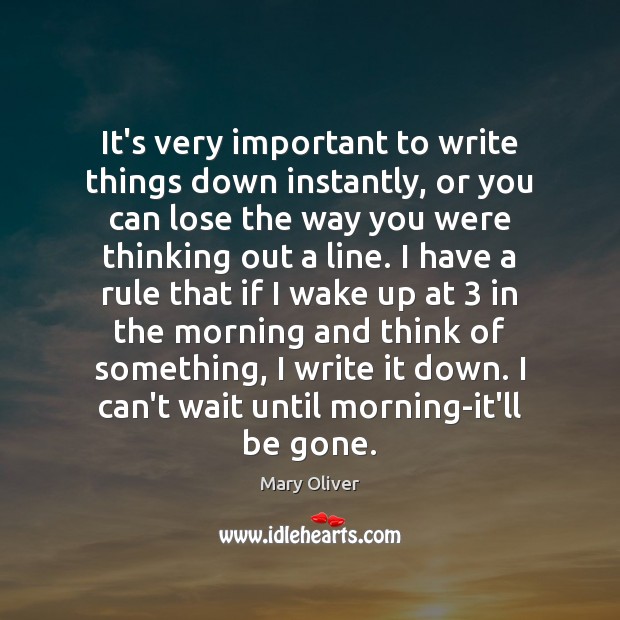 It’s very important to write things down instantly, or you can lose Mary Oliver Picture Quote