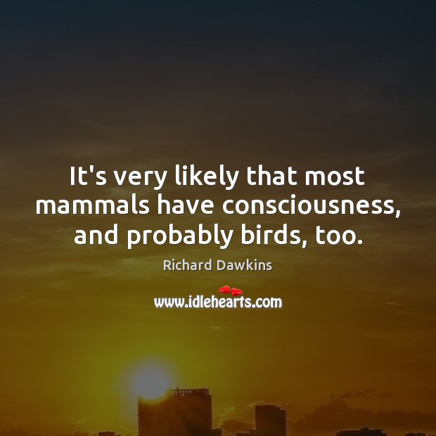It’s very likely that most mammals have consciousness, and probably birds, too. Image
