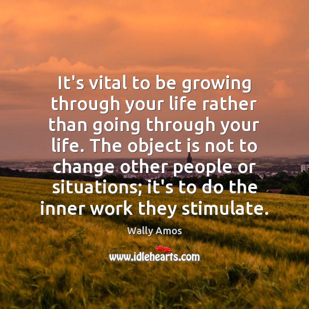 It’s vital to be growing through your life rather than going through Wally Amos Picture Quote
