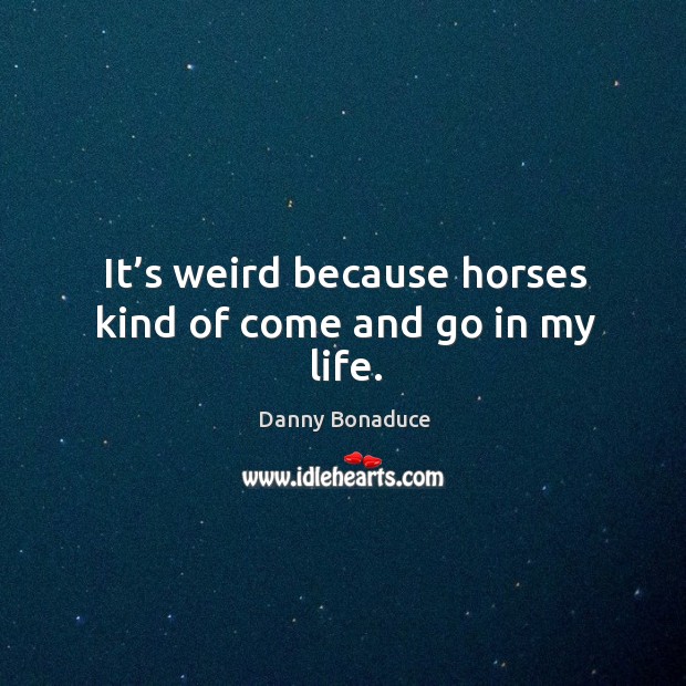 It’s weird because horses kind of come and go in my life. Image