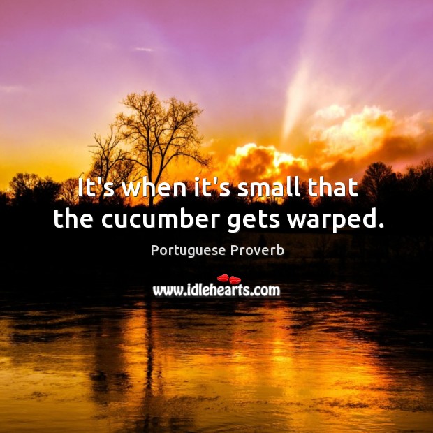 It’s when it’s small that the cucumber gets warped. Portuguese Proverbs Image