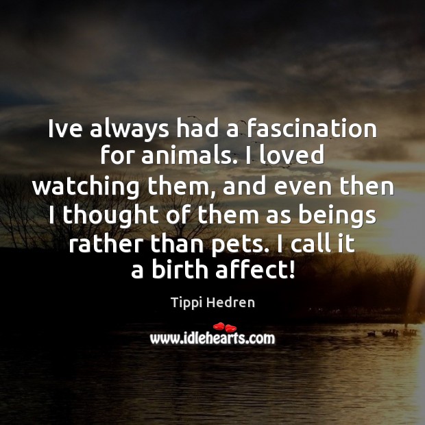 Ive always had a fascination for animals. I loved watching them, and Tippi Hedren Picture Quote