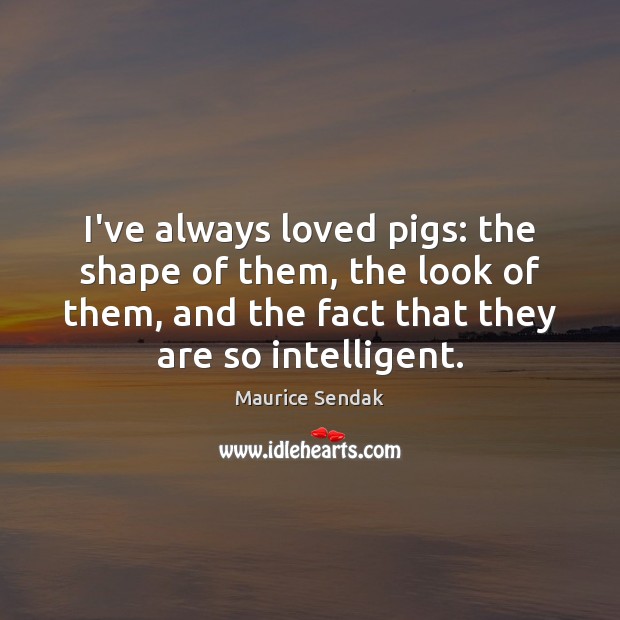 I’ve always loved pigs: the shape of them, the look of them, Maurice Sendak Picture Quote