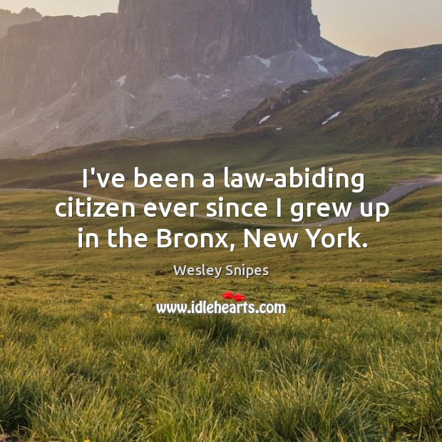 I’ve been a law-abiding citizen ever since I grew up in the Bronx, New York. Wesley Snipes Picture Quote
