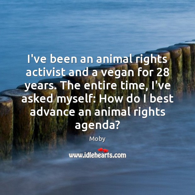 I’ve been an animal rights activist and a vegan for 28 years. The Moby Picture Quote