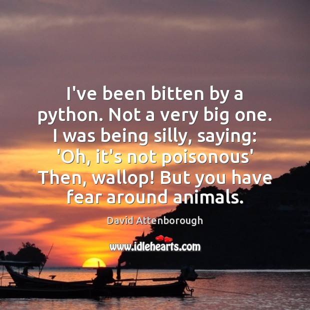 I’ve been bitten by a python. Not a very big one. I David Attenborough Picture Quote