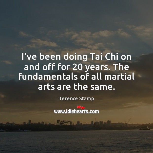 I’ve been doing Tai Chi on and off for 20 years. The fundamentals Terence Stamp Picture Quote