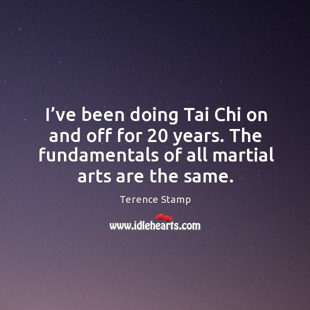 I’ve been doing tai chi on and off for 20 years. The fundamentals of all martial arts are the same. 