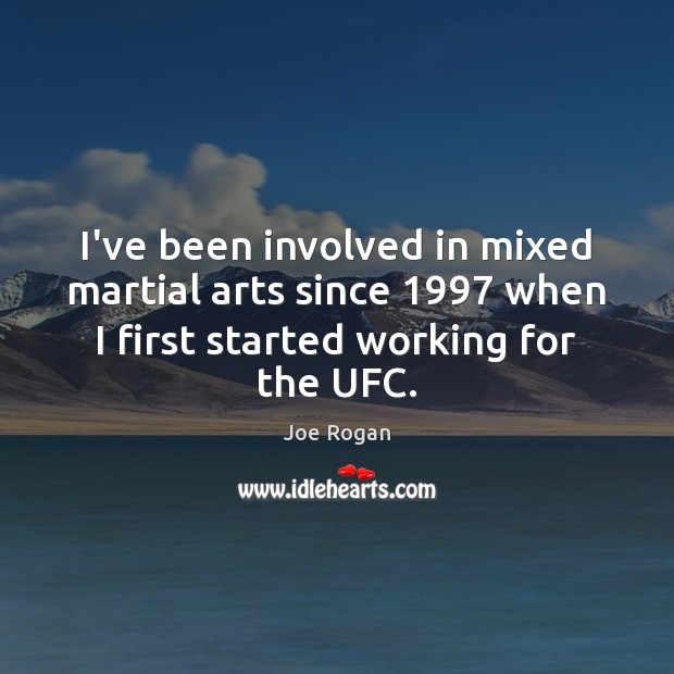 I’ve been involved in mixed martial arts since 1997 when I first started Image