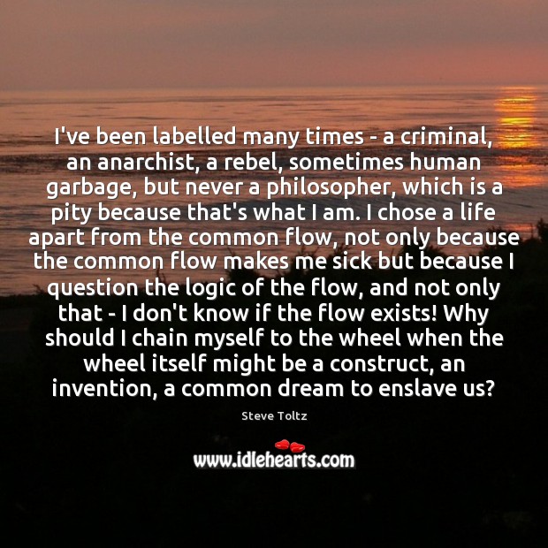 I’ve been labelled many times – a criminal, an anarchist, a rebel, Steve Toltz Picture Quote