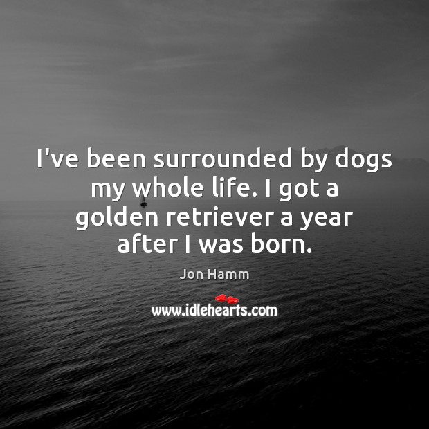 I’ve been surrounded by dogs my whole life. I got a golden Jon Hamm Picture Quote