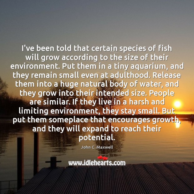 I’ve been told that certain species of fish will grow according to John C. Maxwell Picture Quote