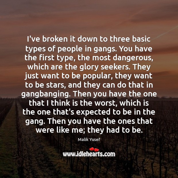 I’ve broken it down to three basic types of people in gangs. Malik Yusef Picture Quote