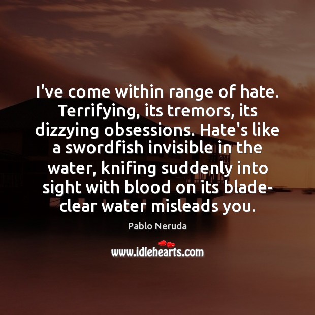 I’ve come within range of hate. Terrifying, its tremors, its dizzying obsessions. Image