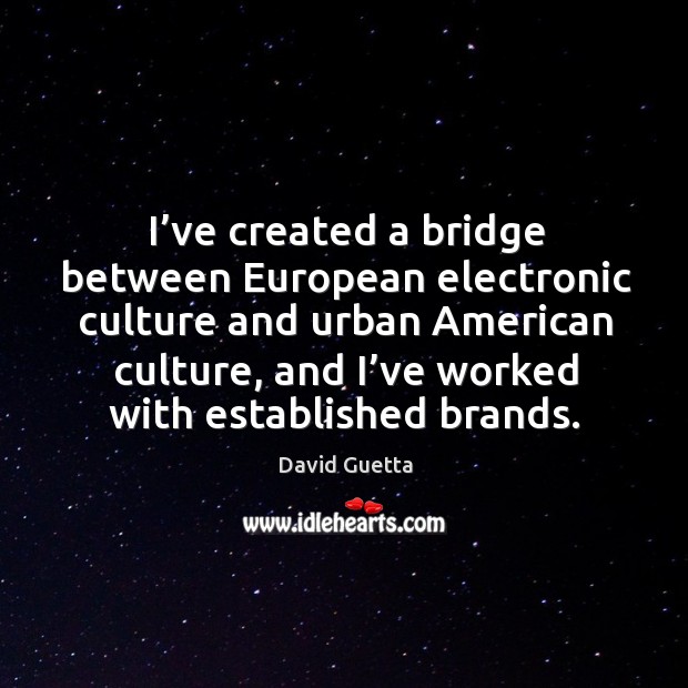 I’ve created a bridge between european electronic culture and urban american culture David Guetta Picture Quote