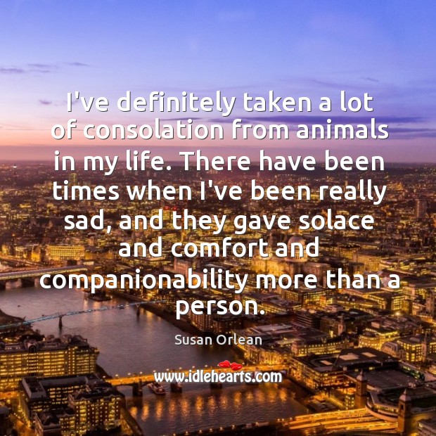 I’ve definitely taken a lot of consolation from animals in my life. Susan Orlean Picture Quote