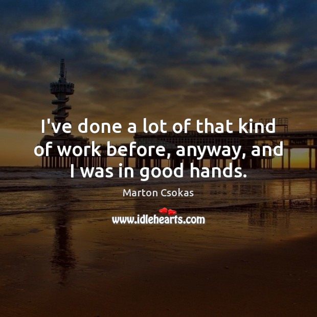 I’ve done a lot of that kind of work before, anyway, and I was in good hands. Marton Csokas Picture Quote