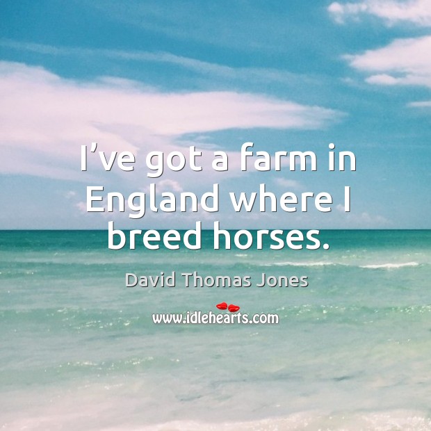 I’ve got a farm in england where I breed horses. David Thomas Jones Picture Quote