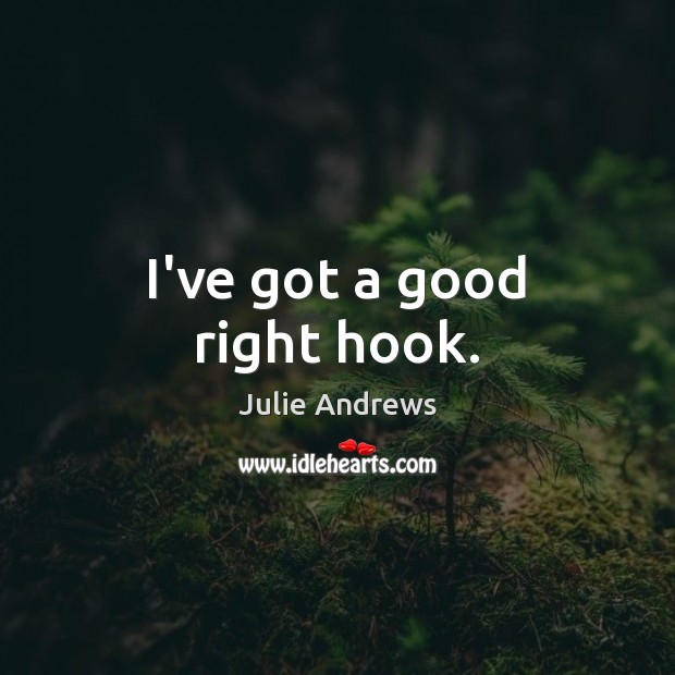I’ve got a good right hook. Julie Andrews Picture Quote