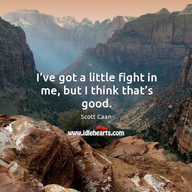 I’ve got a little fight in me, but I think that’s good. Scott Caan Picture Quote