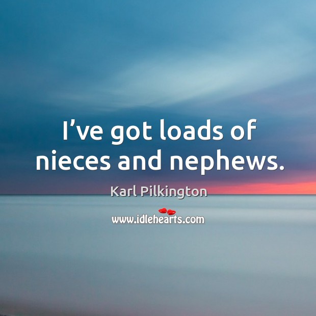 I’ve got loads of nieces and nephews. Karl Pilkington Picture Quote