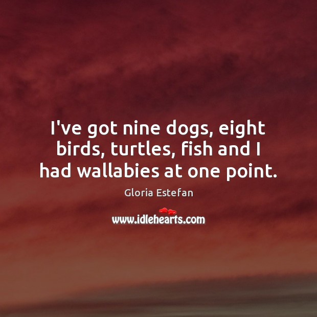 I’ve got nine dogs, eight birds, turtles, fish and I had wallabies at one point. Gloria Estefan Picture Quote
