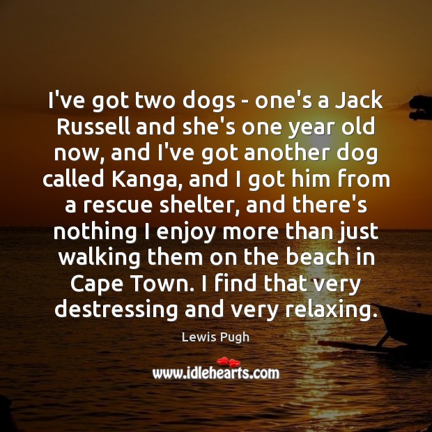 I’ve got two dogs – one’s a Jack Russell and she’s one Image