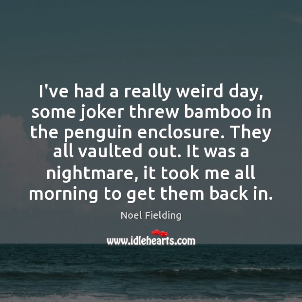 I’ve had a really weird day, some joker threw bamboo in the Noel Fielding Picture Quote